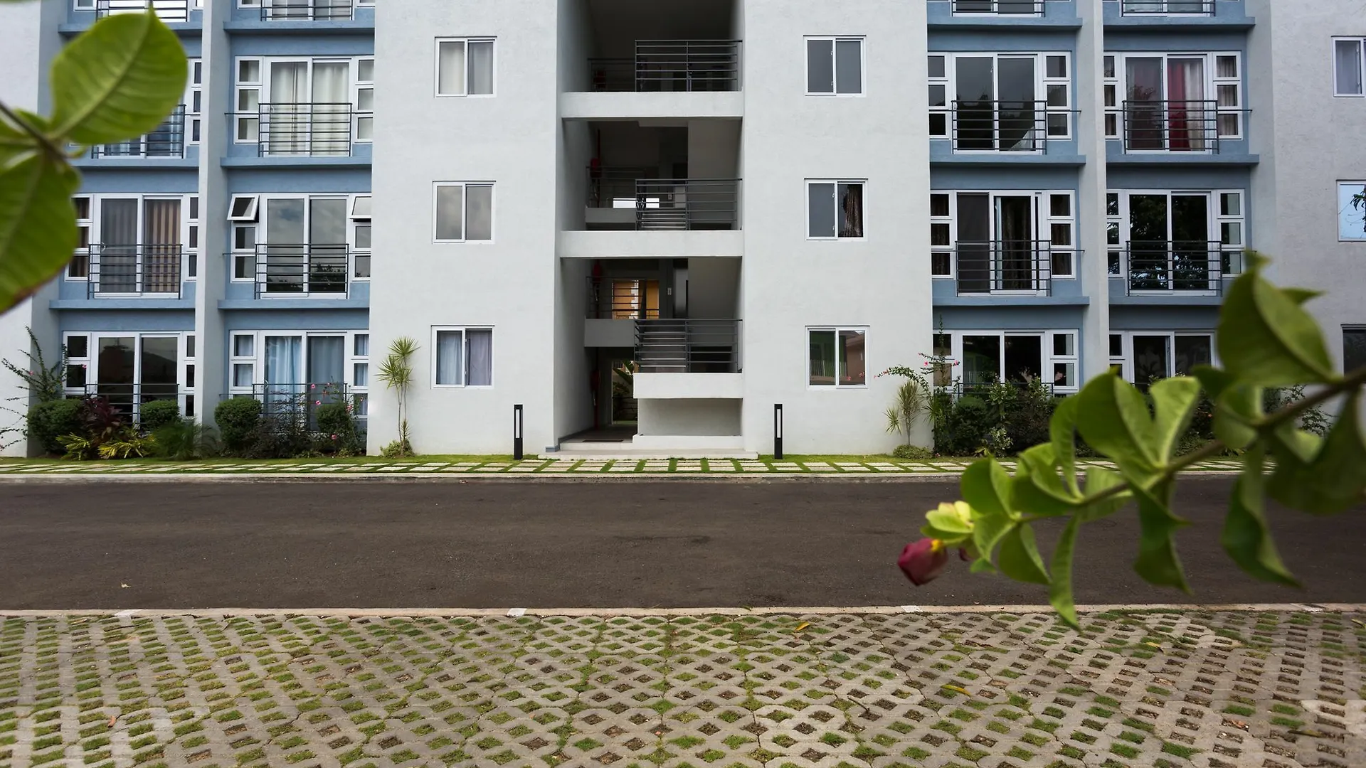 Kingston Luxury Guest Apt At Sullivan Apartman